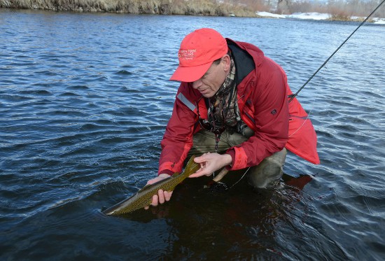 lballard_releasing_brown_trout