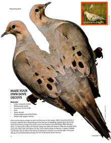 Decoying Doves
