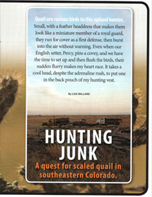Hunting Junk