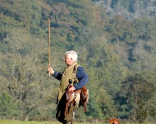 Picker with cocker spaniel