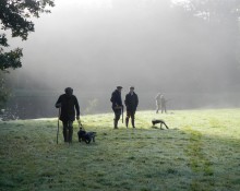 Shooters in morning mist