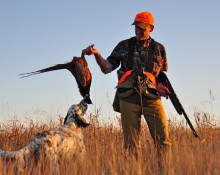 Hunter shows pheasant to his dog