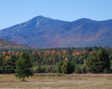 Fall Foliage