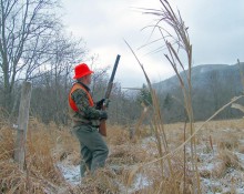 Late-season pheasant hunting